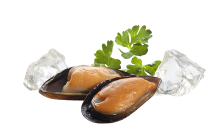 Mussels Half Shell 1KG