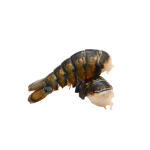 Lobster Tail
