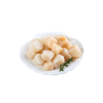 Sea Scallops 1KG