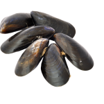 Mussels Whole Shell 1 Kg